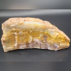 Petrified wood
